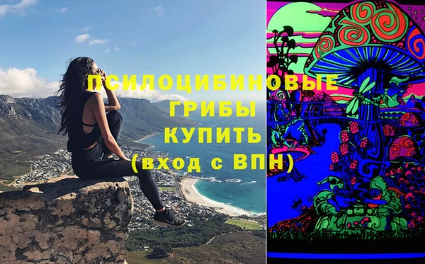 Альфа ПВП Алексин
