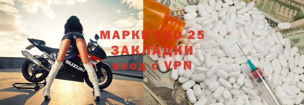 ГАЛЛЮЦИНОГЕННЫЕ ГРИБЫ Алексеевка
