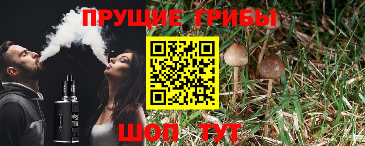 Псилоцибиновые грибы ЛСД Алексеевка