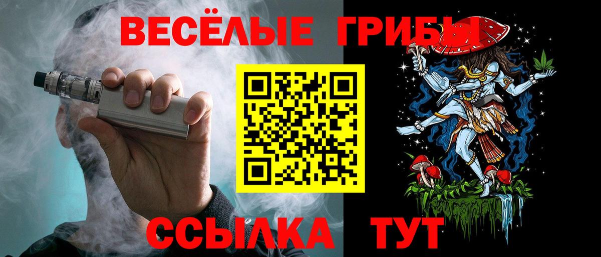 Псилоцибиновые грибы GOLDEN TEACHER Алексеевка