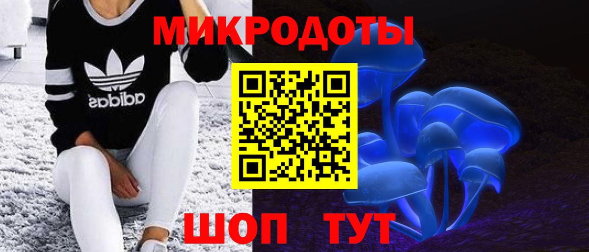 Галлюциногенные грибы прущие грибы  Алексеевка 